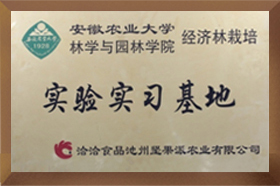 安农大实验实习午夜免费在线视频