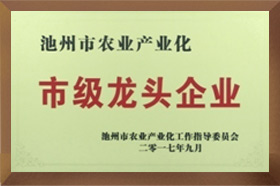 市级龙头精品午夜成人免费视频APP