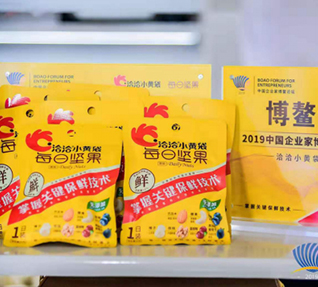 洽洽小黄袋每日坚果——2019中国精品午夜成人免费视频APP家博鳌论坛大会“指定坚果”